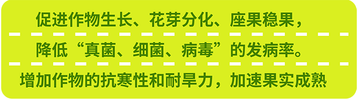 1683097242259892.png