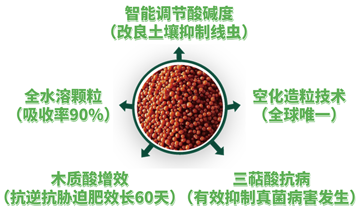 稿定设计-11.png