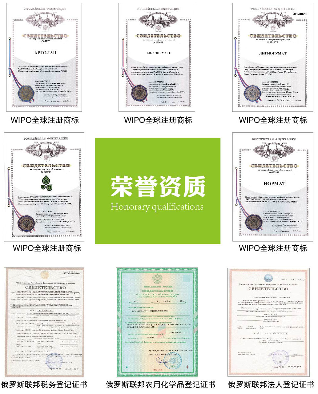古玛特荣誉资质